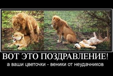 Секс История: Подарок на 8 марта